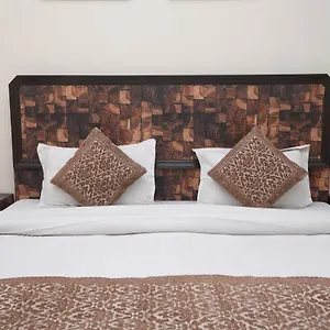 https://silver-arc-karol-bagh-new-delhi.hotelsdelhi.org